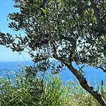 Appartement Bella Vista Mit Meerblick - 7 Pers - Mit Pool *